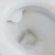 toilet not flushing
